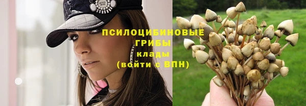 стафф Каменка
