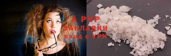стафф Каменка