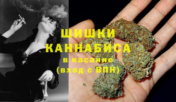 стафф Каменка