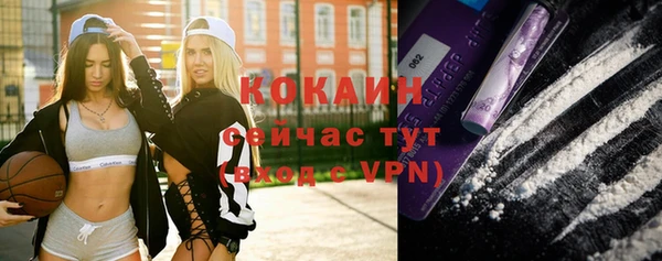spice Каменногорск