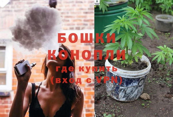 spice Каменногорск