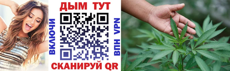 Купить закладки  Очёр  Каннабис сатива 